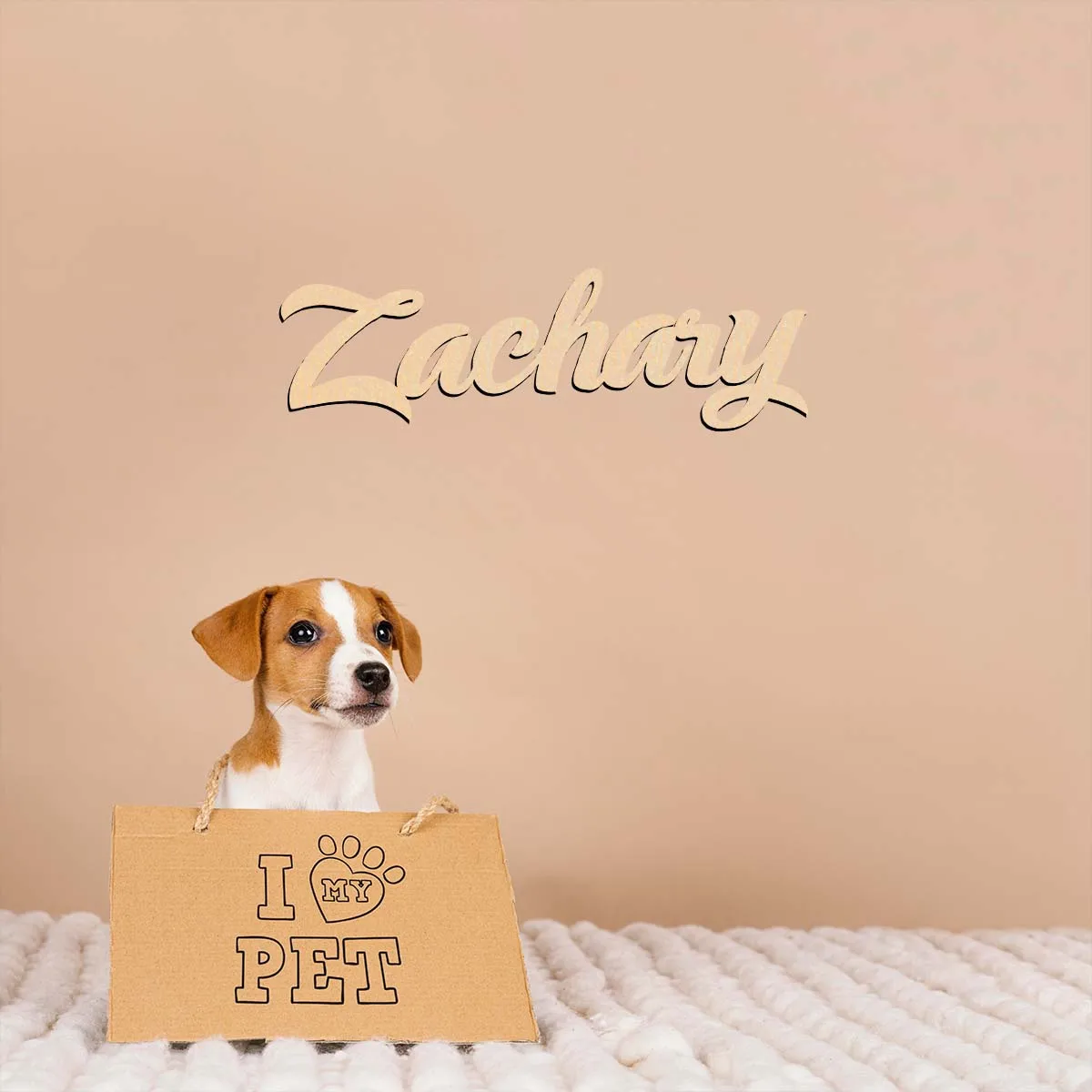 1 Stück Heimdekoration Zachary Beispiel Anpassbarer Name Holztafel Lasergeschnittenes Schild Holzdekor Türbehang Dekor