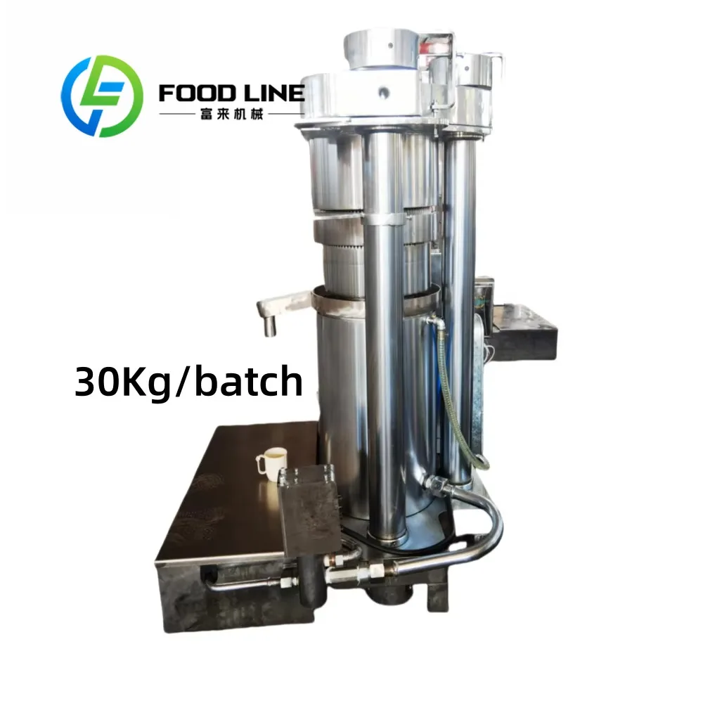 Automatic Intelligent Hydraulic Oil Press Machine for Pumpkin Seeds & Sesame Oil Cold Press for Home Use
