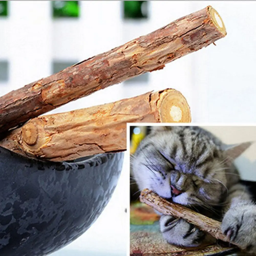 5 Pcs/1 Bag Pet Cat Kitten Chew Stick Treat Toy Natural Matatabi Catnip Molar Food Molar Stick Cleaning Teeth Toothpaste Snacks