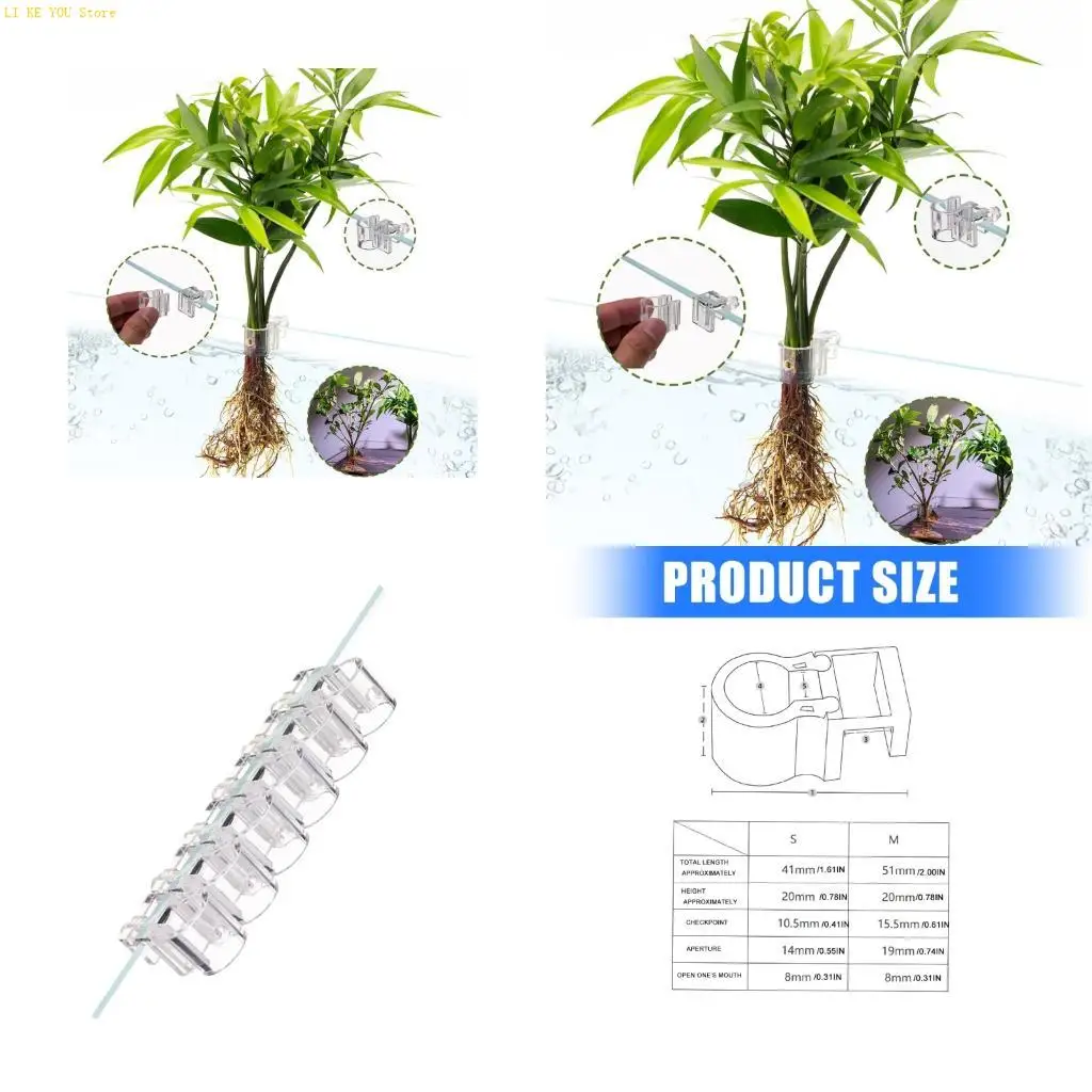 W3JE 6 Divisions Plant Propagation Stands for Aquariums Highlighting Distribution Split toe Root Health