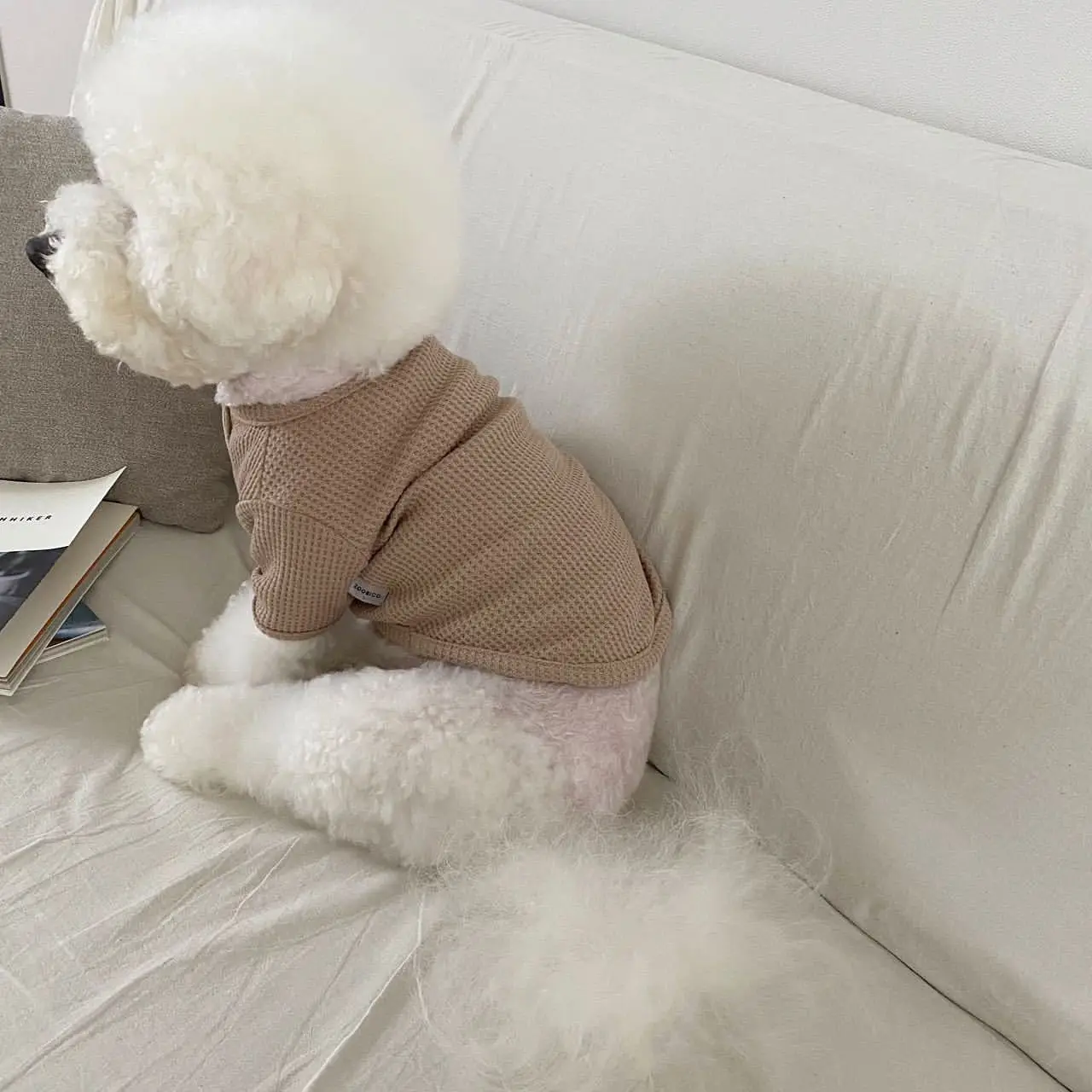 Nueva Ropa de Otoño Invierno para Perros y Gatos, Sudadera Versátil de Capa Base para Poodle, Yorkie, Pomeranian y Perros Pequeños