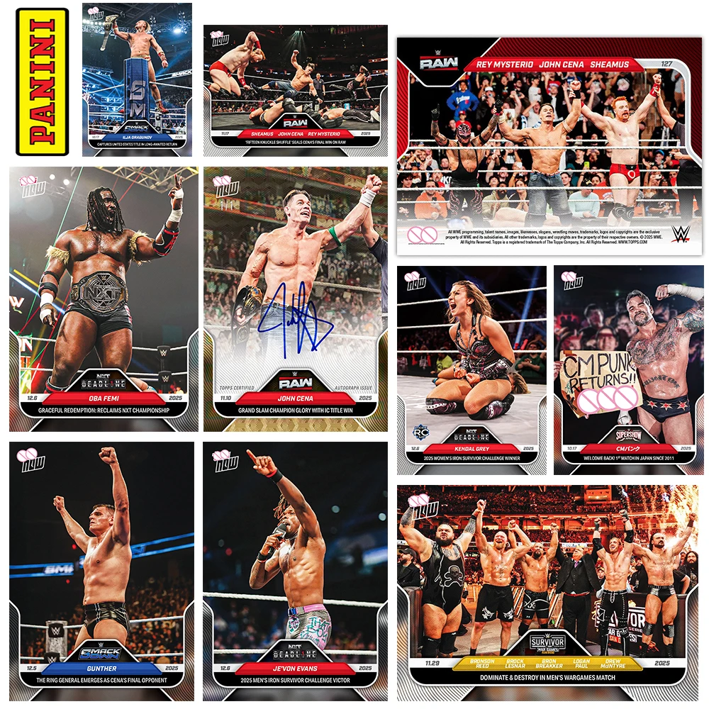 PANINI DIY homemade WWE Kendal Grey John Cena Sheamus Rey Mysterio Breakker Slanted Light Laser Collectible Card TexturedGlitter