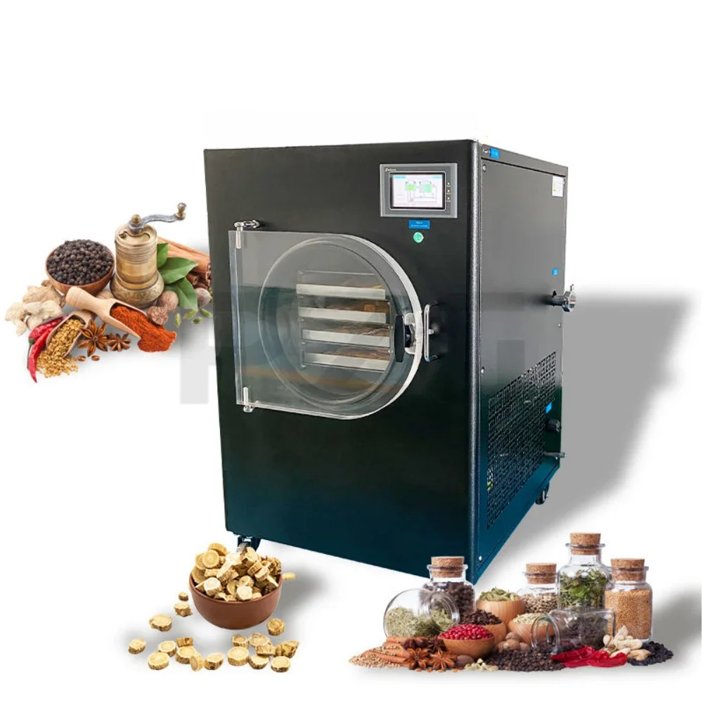 Máquina de Secado por Congelación al Vacío para Frutas, Mini Liofilizador de Vegetales, Secador de Alimentos
