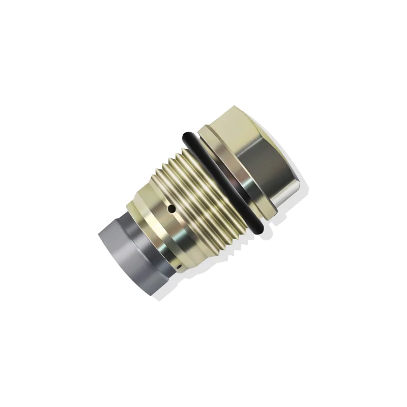 1110010015 Common Rail Pressure Limited Valve110010017 1110010018 1110010019 For Bos-ch, Denso Valve Fittings YE2633