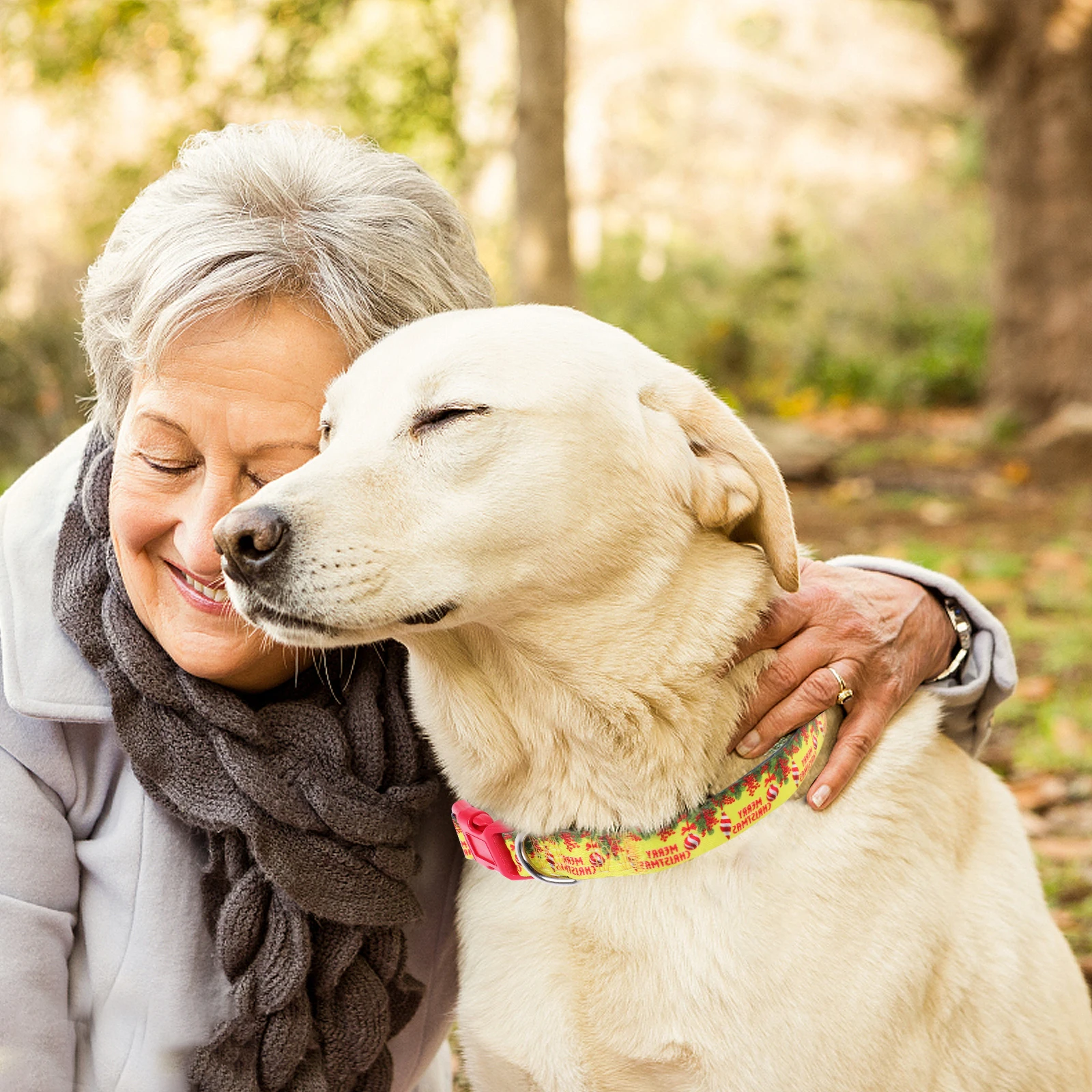 

Small Adjustable Xmas Dog Collar Lightweight Comfortable Pet Collar Safety Buckle Perfect for Holiday Gatherings