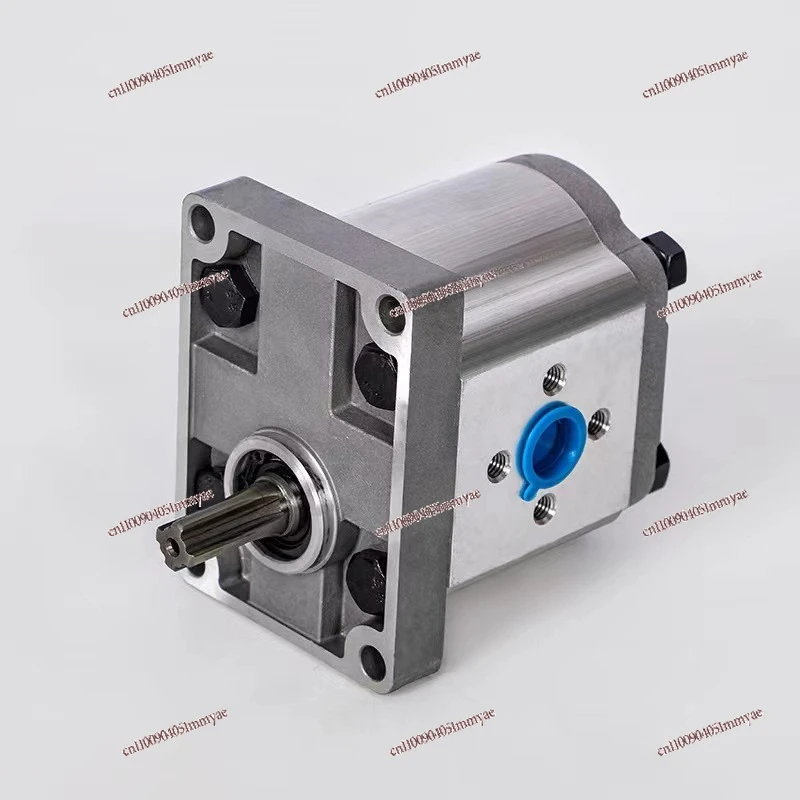 

Gear Oil Pump CBN-F304 CBN-F306 CBN-F308 CBN-F310 CBN-F314 Hydraulic Pump Head