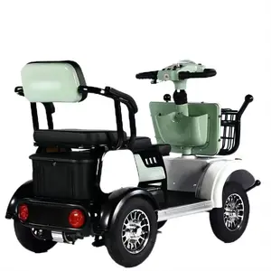 Elektrische Fahrrad für Erwachsene für Menschen mit Touristen 48 V 60 V 800W Vierrad Elektrischer Roller 12 Hauptverkauf Erwachsener Elektromotorrad - №12