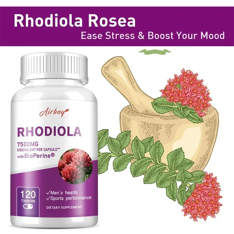 

Rhodiola Supplement - Reduce Stress, Promote Brain and Mood Health, Improved Athletic Performance, Enhanced Energy, Non-GMO