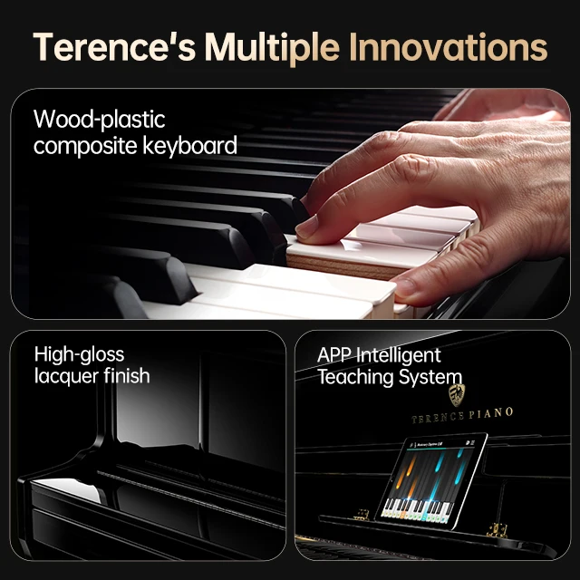 TERENCE AIP-913 Piano Digital Electronic 88 Key Weighted Hammer Action Digital Keyboard Electronic Keyboard Piano