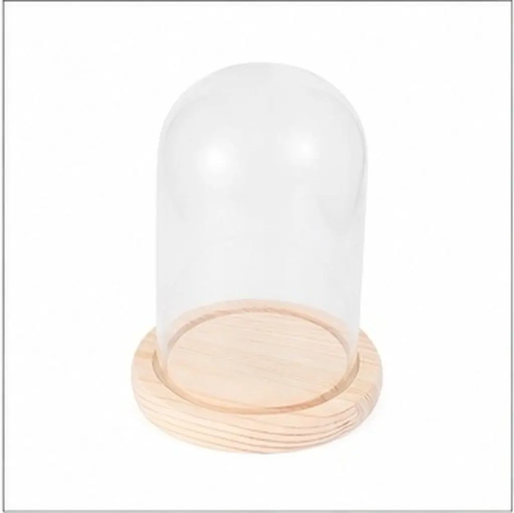 9x15cm Eternal Flower Glass Dome with Solid Wood Base Transparent Display Cover for DIY Floral Craft Valentine Birthday Gift