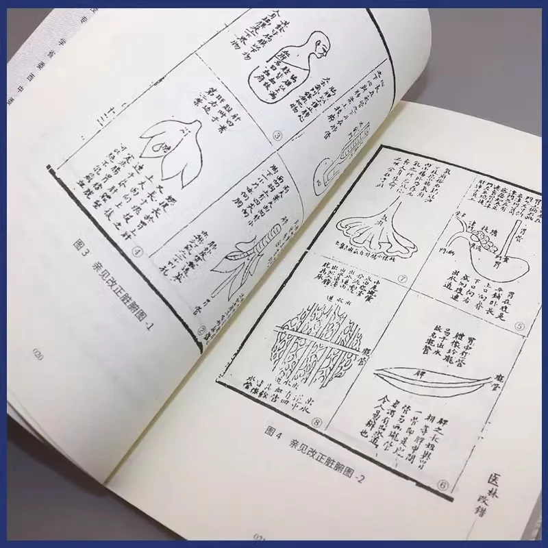 A Book That Combines Medical Theory with Clinical Practice As A Model for Correcting Mistakes in The Medical Field