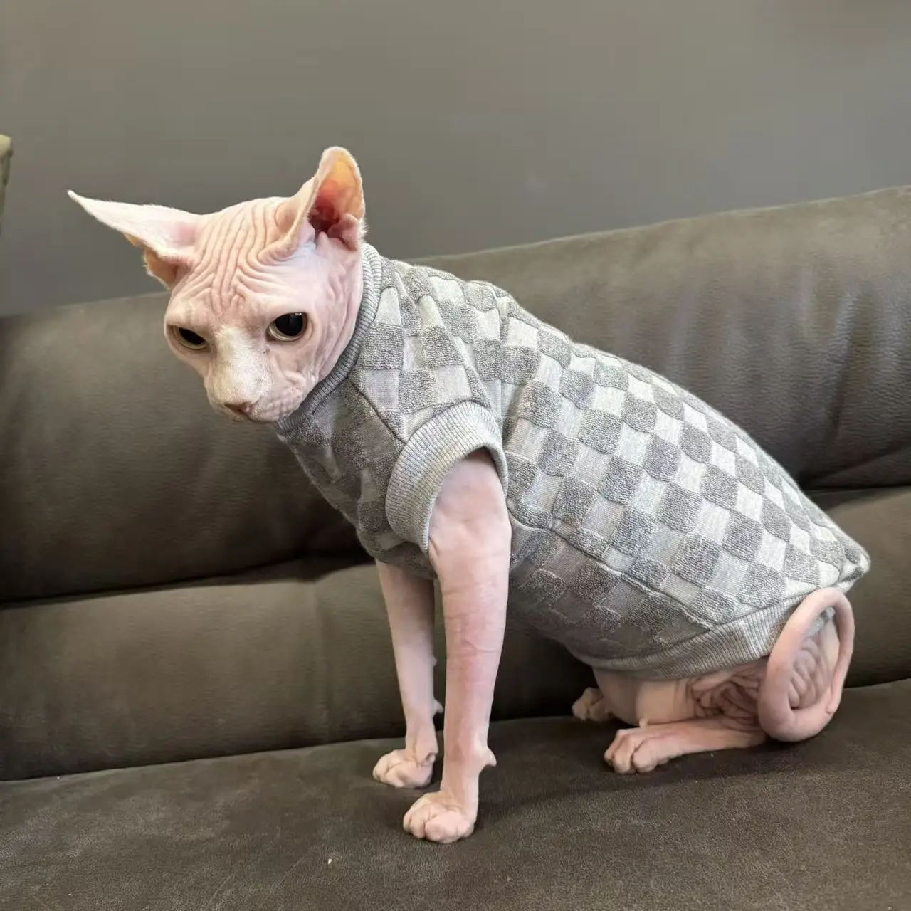 Fleecejas voor katten, ideaal voor de herfst, voor haarloze katten, zacht, warm, grijs geruit, lange mouwen, geschikt voor Sphynx- en Devon Rex-katten, wintertrui.