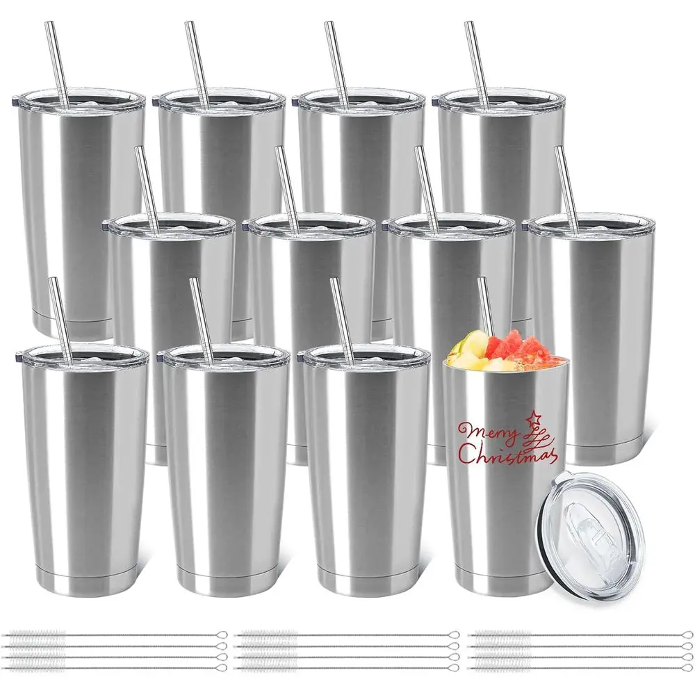 

20oz Double Wall Vacuum Insulated Stainless Steel Travel Tumbler Cup with Lid, Silver, DIY Gift