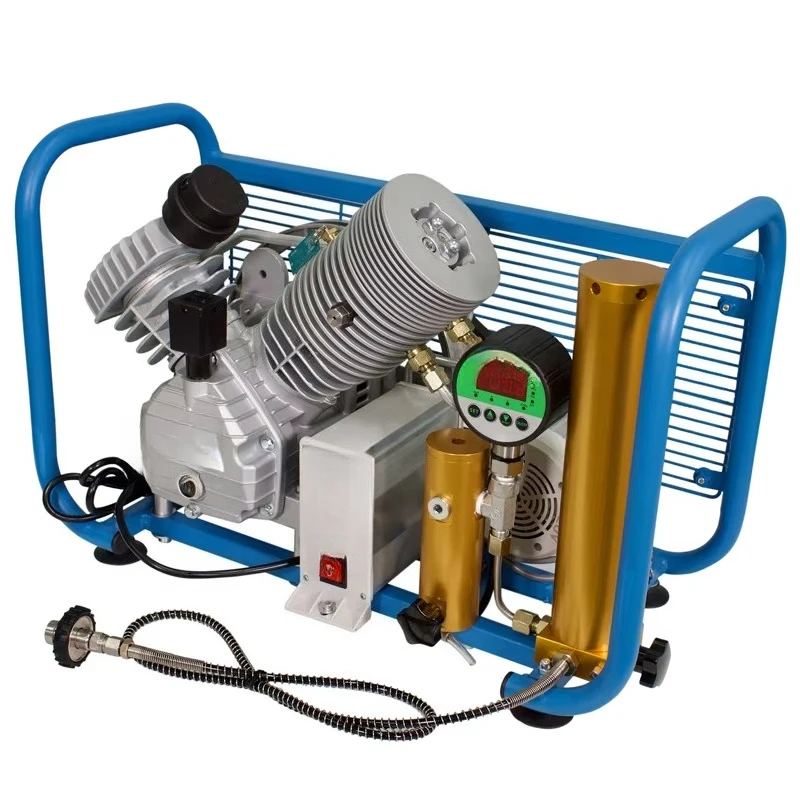 

Electric Lubricated Piston Air Compressor 30MPA Portable 220V LPG for Firefighting