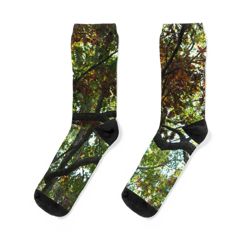 

Twisted Limbs Socks loose Stockings floor Men's Socks Luxury Women's