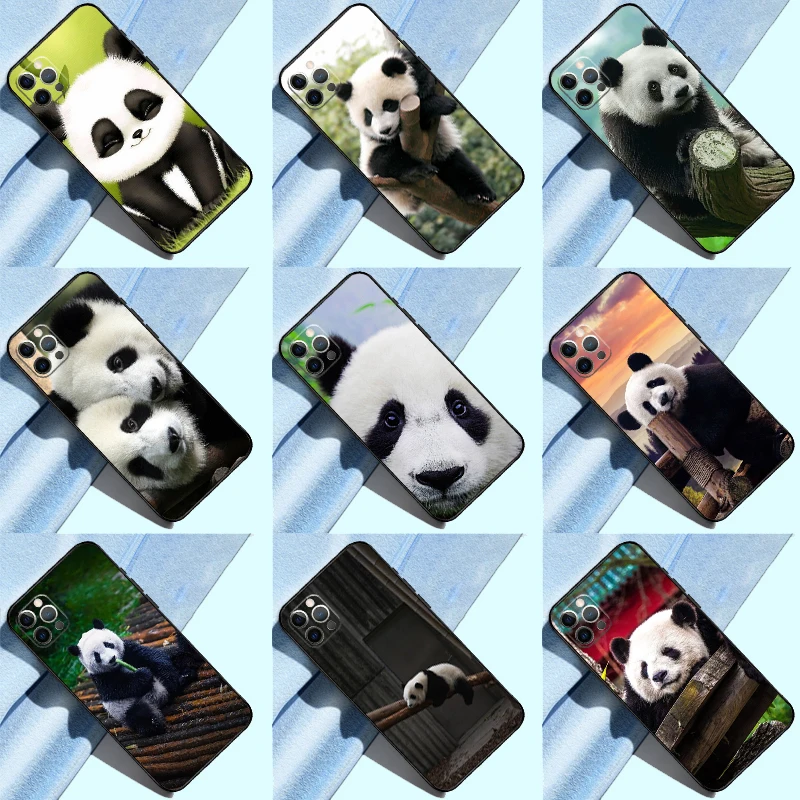 Chinese Bear Panda … - image