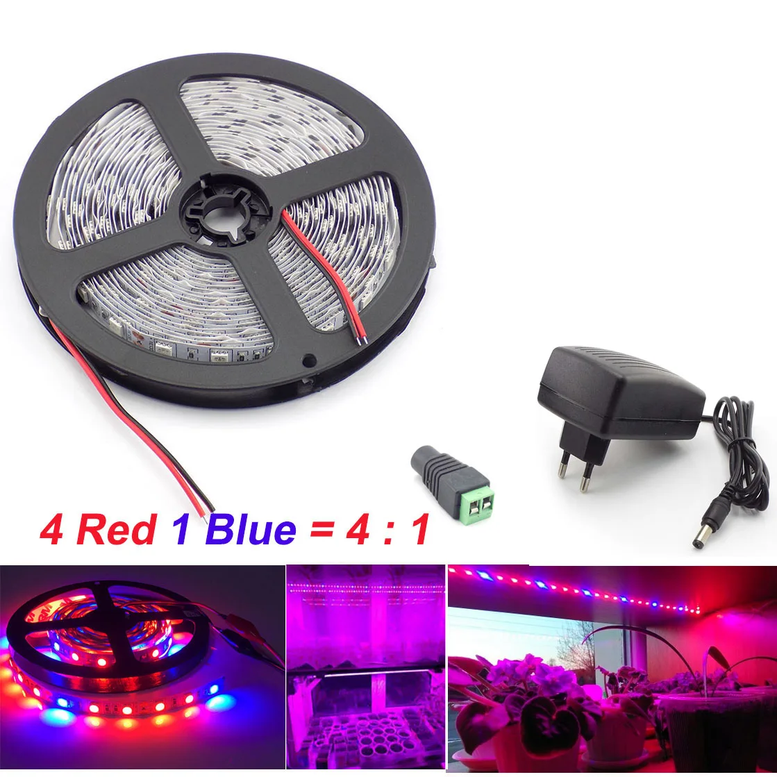 

5M Waterproof Grow 5050 Led Strip plant grow Light 4 Red 1 Blue indoor growth lights Growing greenhouse Lamp 12V Power Supply