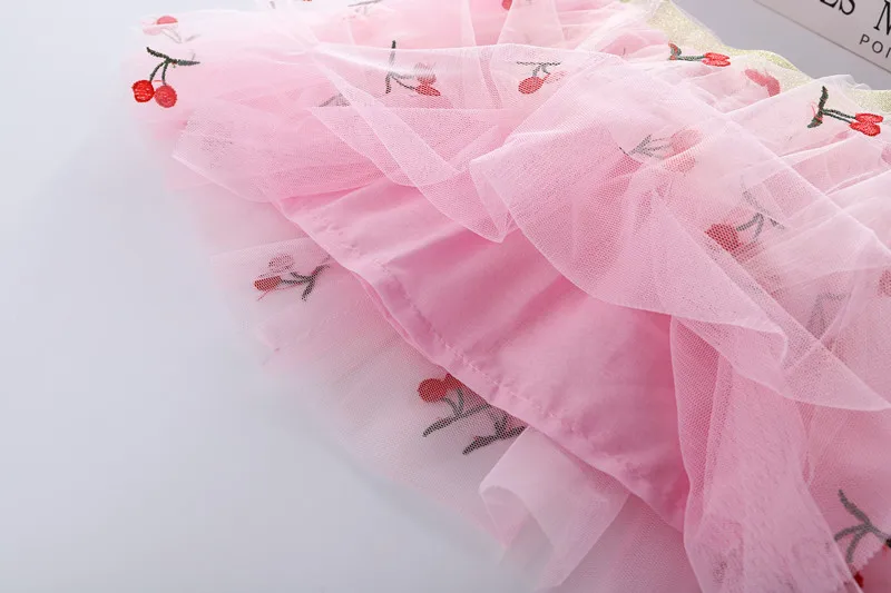 Cute Embroidered Girls Mesh Princess Tutu Skirt Summer Chlid Fashion Pleated Skirts Valentine\'s Day Party Dance Clothes 2-12T