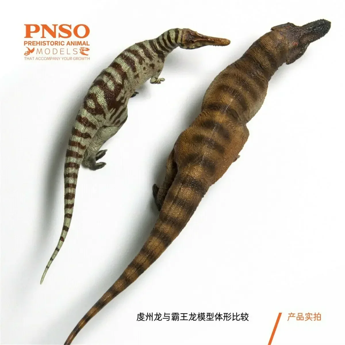 PNSO Qianzhousaurus Sinensis A-shu Figure Tyrannosauridae Dinosaur Collector T-Rex Animal Adult Kids Toy Christmas Birthday Gift