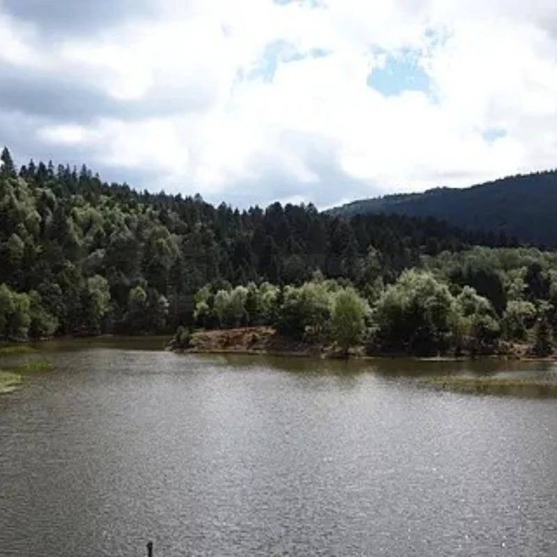 JX WP45/43 45kg IP67 étanche sans brosse Servo entièrement en métal engrenage haute précision CNC coque pour RC UAV Robot Application industrielle