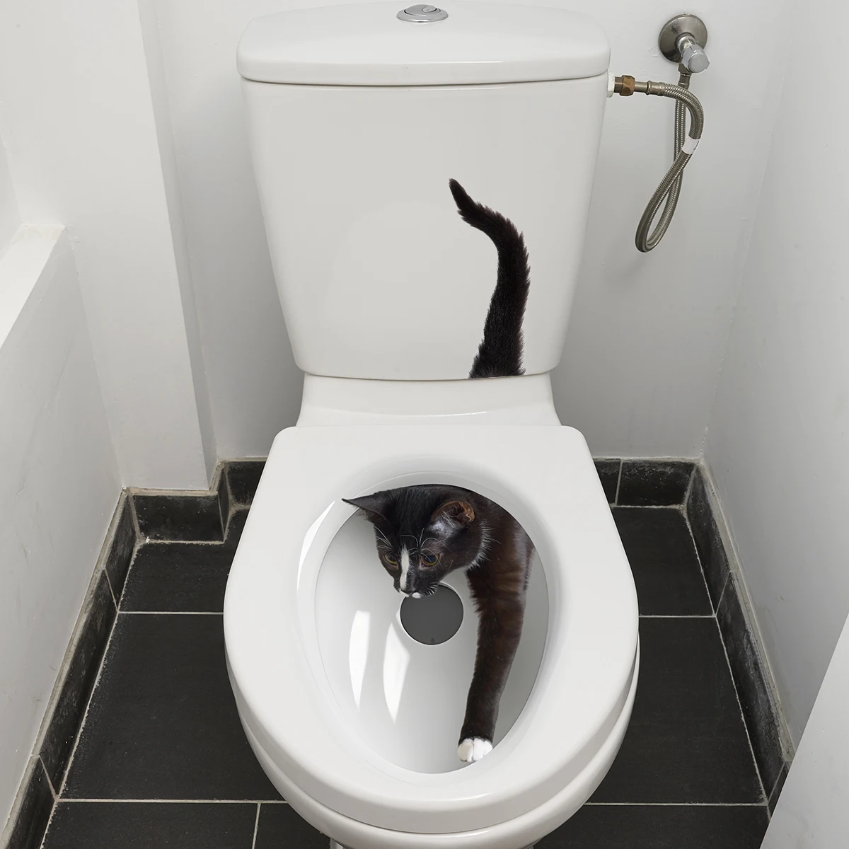 1PC Naughty Little Cat Toilet Wall Stickers Bathroom Decoration Wall Stickers Self-adhesive