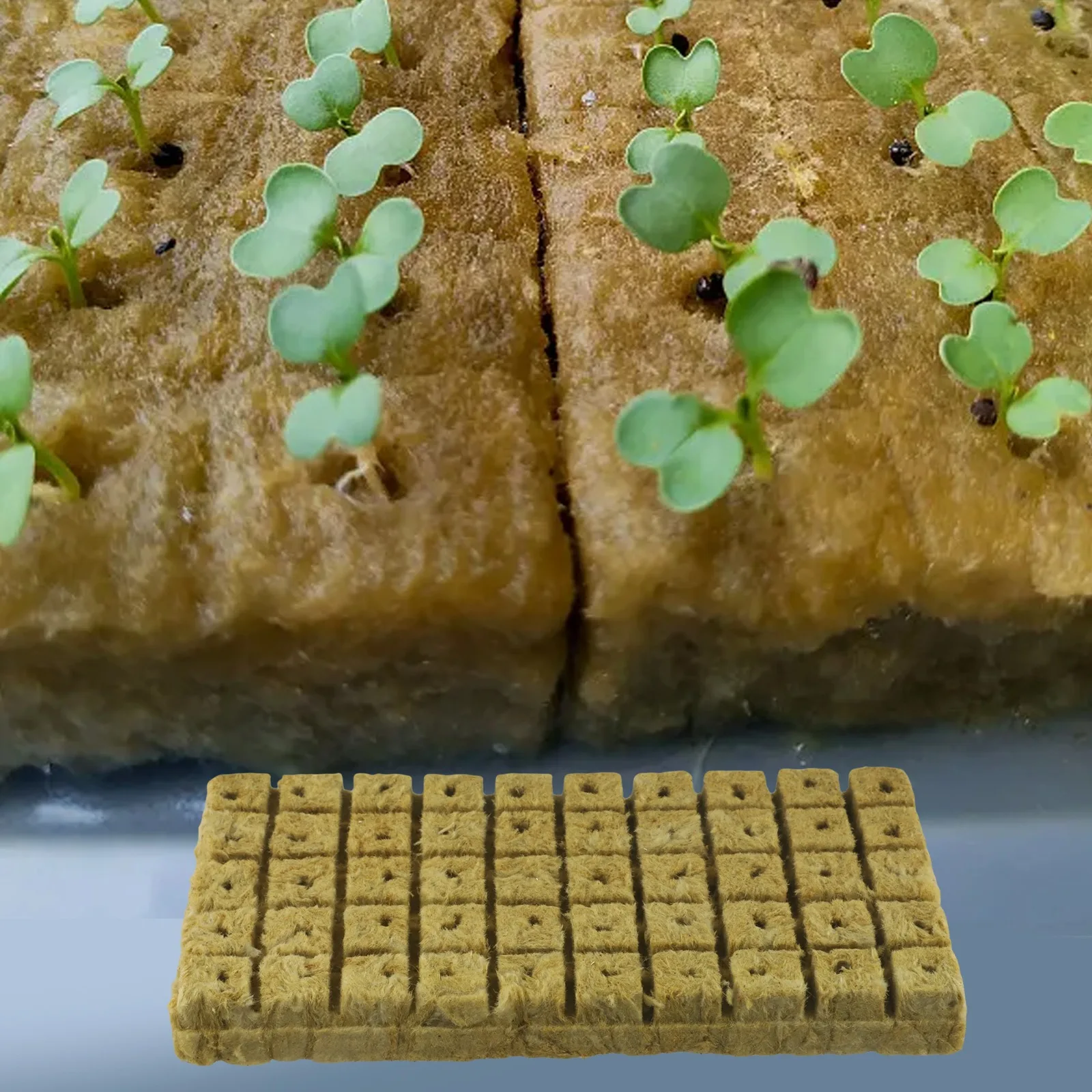 50Pcs Cube Soilless Culture for substrate Water-cultivated Rock Block 25x25x30/40mm For Growing Establishing 50Pcs