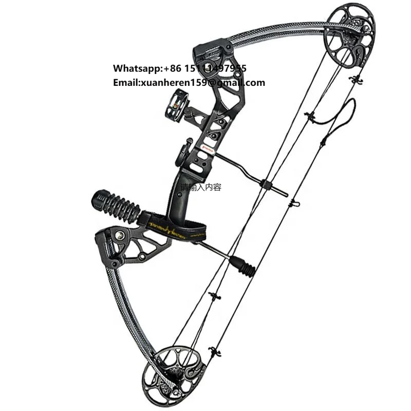 

Archery Compound Bow and Arrow Set High Quality Metal Right-Handed 45LBS Draw Weight Outdoor Hunting Shooting for Teenagers