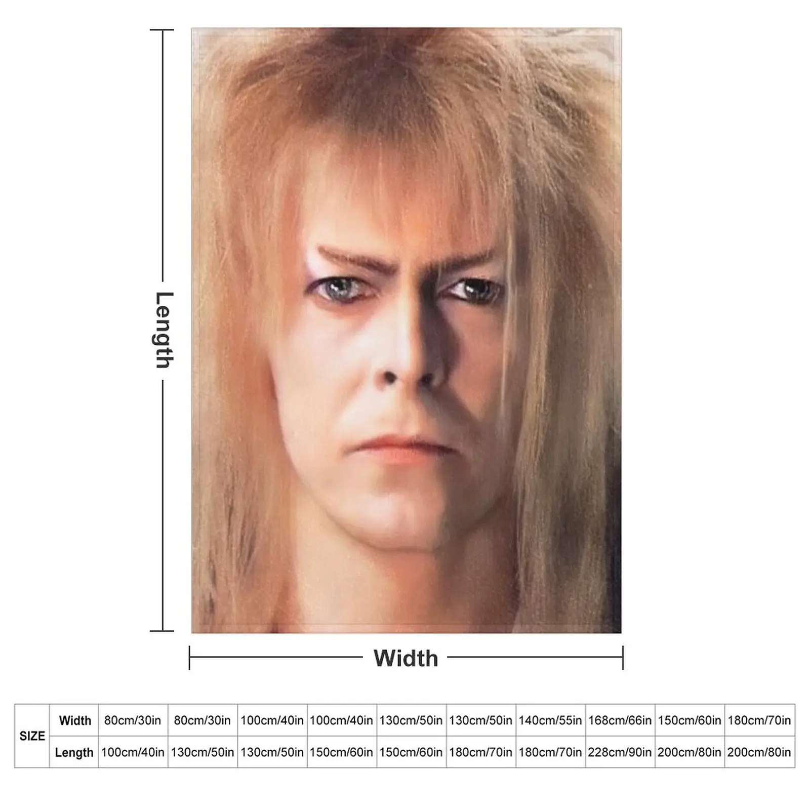 Jareth the King of Goblins in the Labyrinth Makes his Demand Throw Blanket couch cozy soft plush fuzzy picnic outdoor blanket