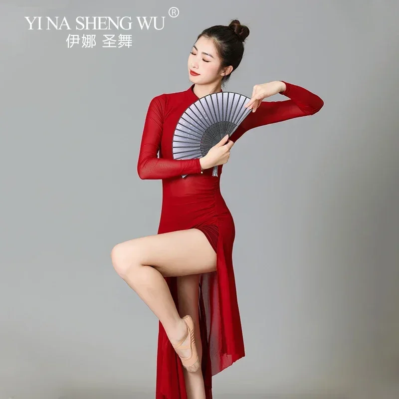المرأة الكلاسيكية ملابس رقص شبكة طويلة الأكمام غير النظامية هيم عالية الشق لممارسة الرقص الشعبي اللاتينية ملابس الرقص الأنيقة
