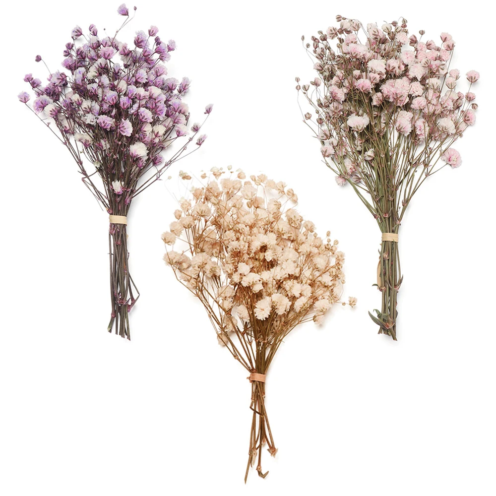 Mini Colorful Natural Real Flower Babysbreath Natural Fresh Dried Preserved Flowers Small Natural Dried Flowers Bouquet Decor