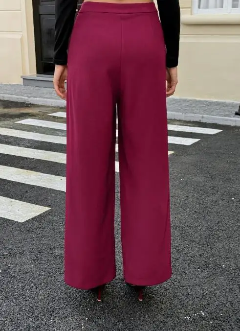 Women's Clothing 2025 Autumn and Winter Vacation Casual Solid Color Straight Leg Pants Temperament Commuting Retro Elegant Pants