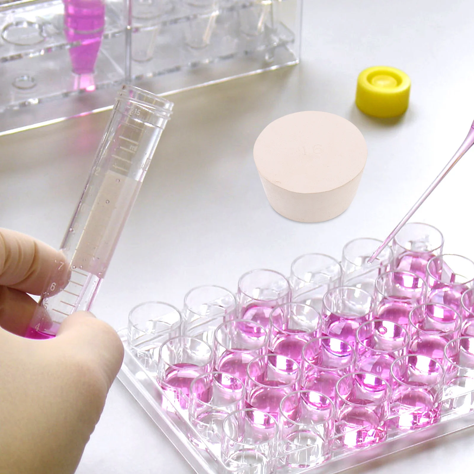 

2 Pcs Rubber Plugs for Test Tube Stopper Solid Sealing Stoppers Bungs Laboratory