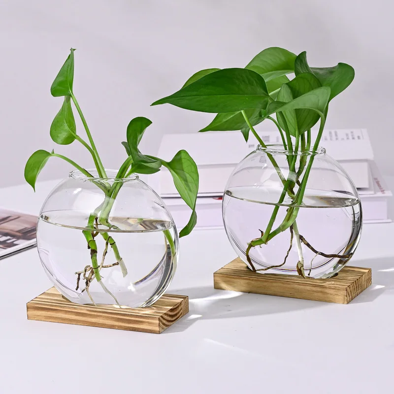 2Pcs 2 Pack Round Glass Terrariums With Wooden Stand For Propagation Small Hydroponic Plants Home Office Decor