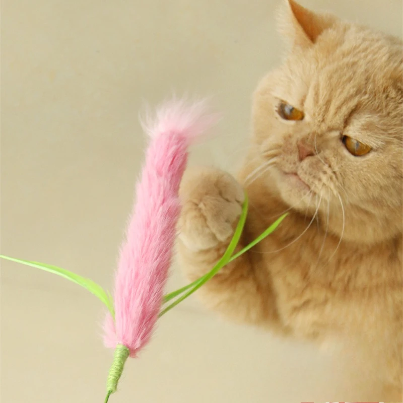 Juguete interactivo con varita para gatos y perros: campana dental - imagen 2