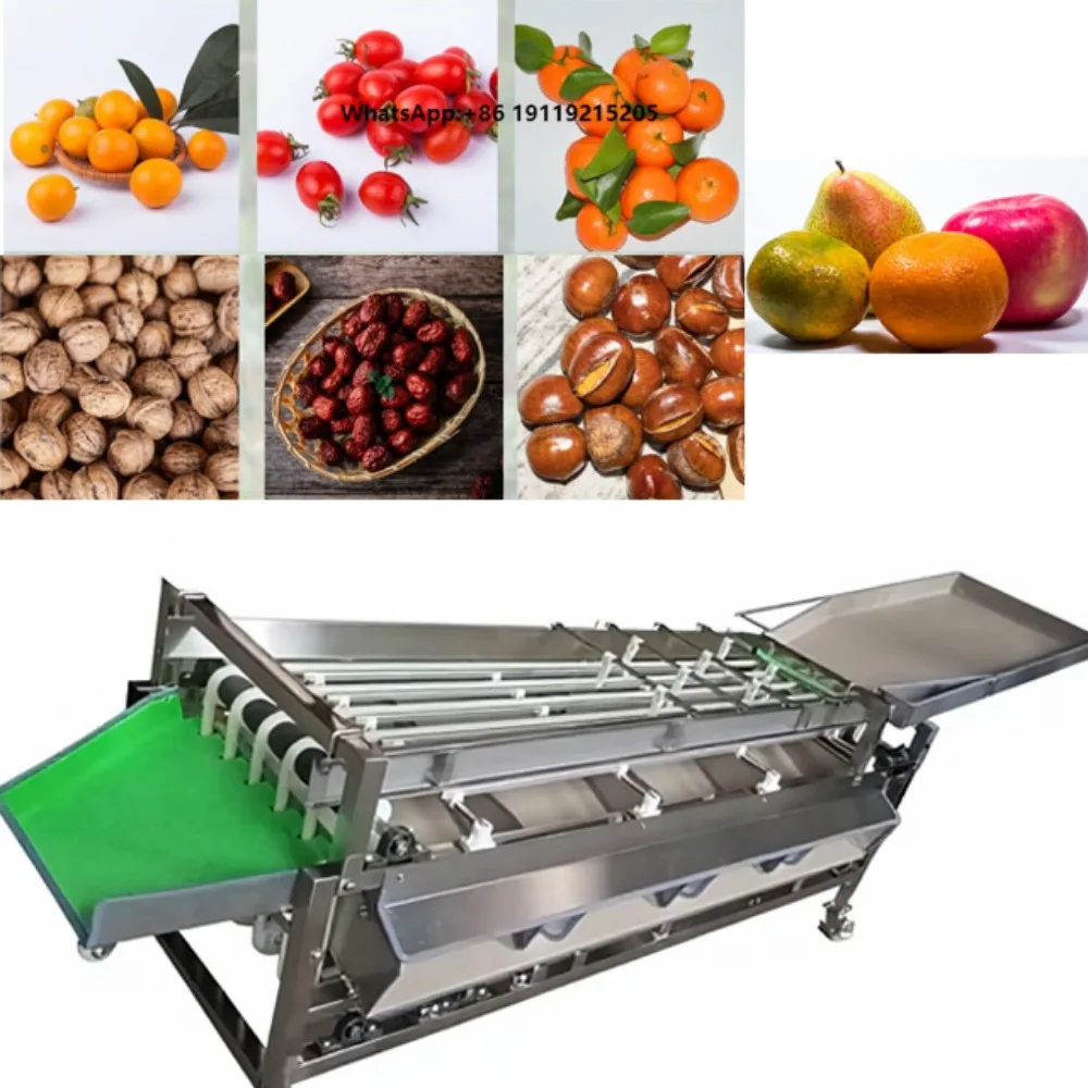 Electric Motor Multifunctional Tomato Potato Onion Mango Orange Size Optical Sorting Grading Machine Fruit Vegetable 304