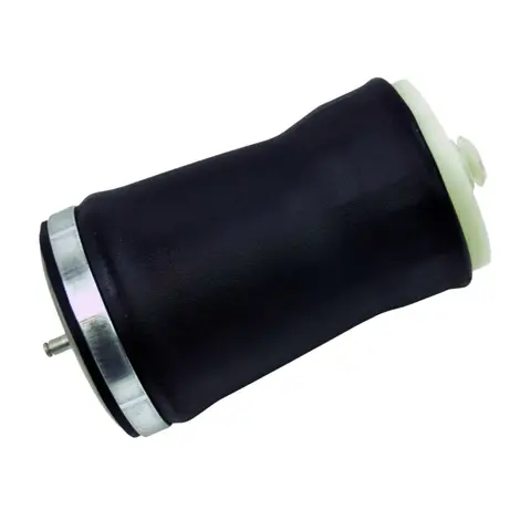37126750355 37121095580 - Rear Left & Rear Right Air Suspension Spring Bag - Fits BMW E53 X5 2000-2006