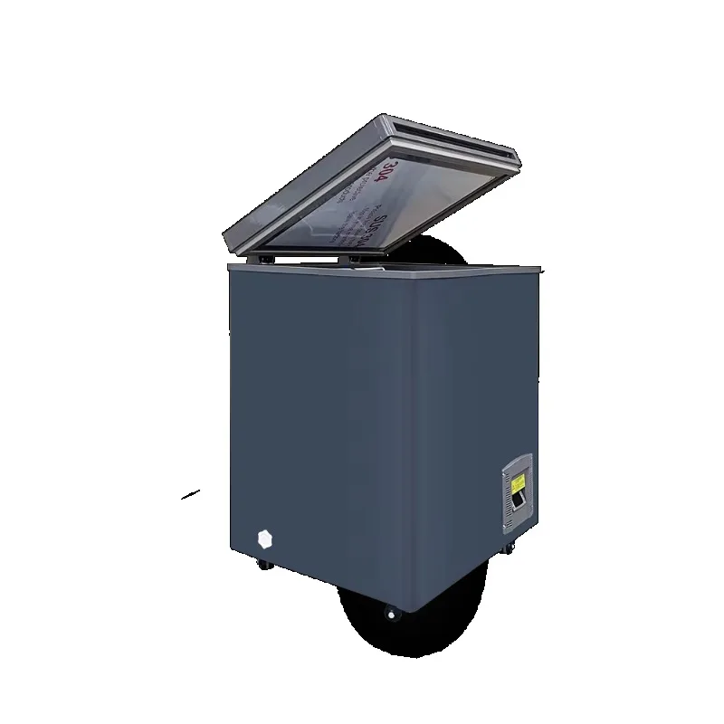 -45C Home Low Working Noise 110L Ultra Low Temperature Chest Freezer DW-45W110
