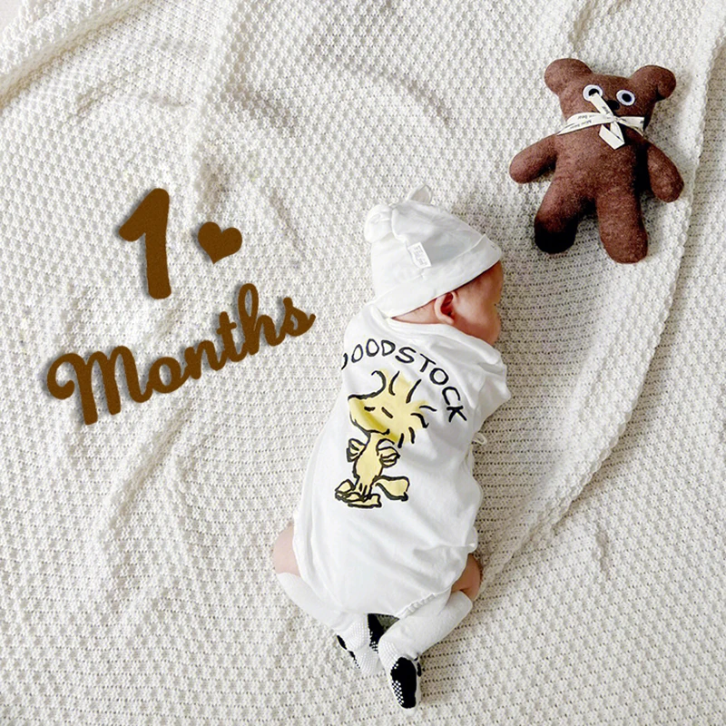 Ins Newborn Baby Announcement Cards Record 100 Days Pregnancy Journey Milestone Marker Non Woven Monthly Photo Props