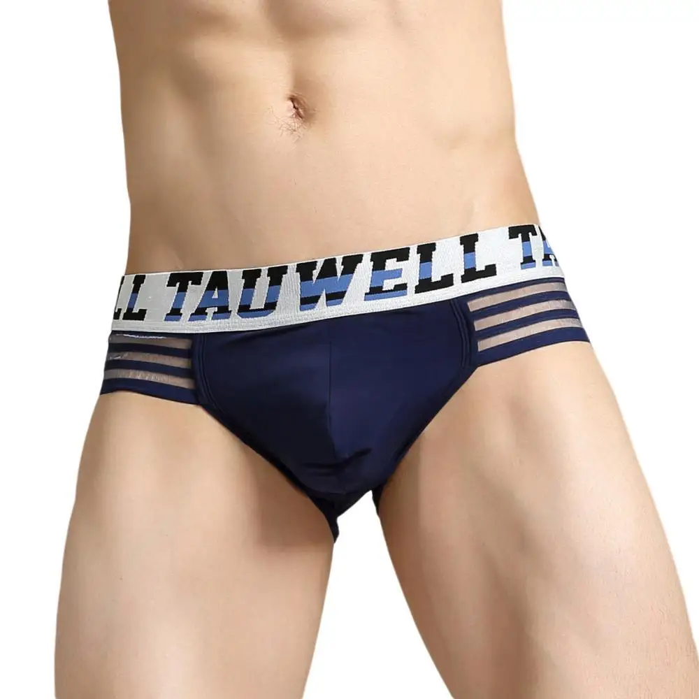 TAUWELL Men Briefs Sexy Transparent Underwear Low Waist Triangle Underpants Male Panties Bikinis Briefs for Man