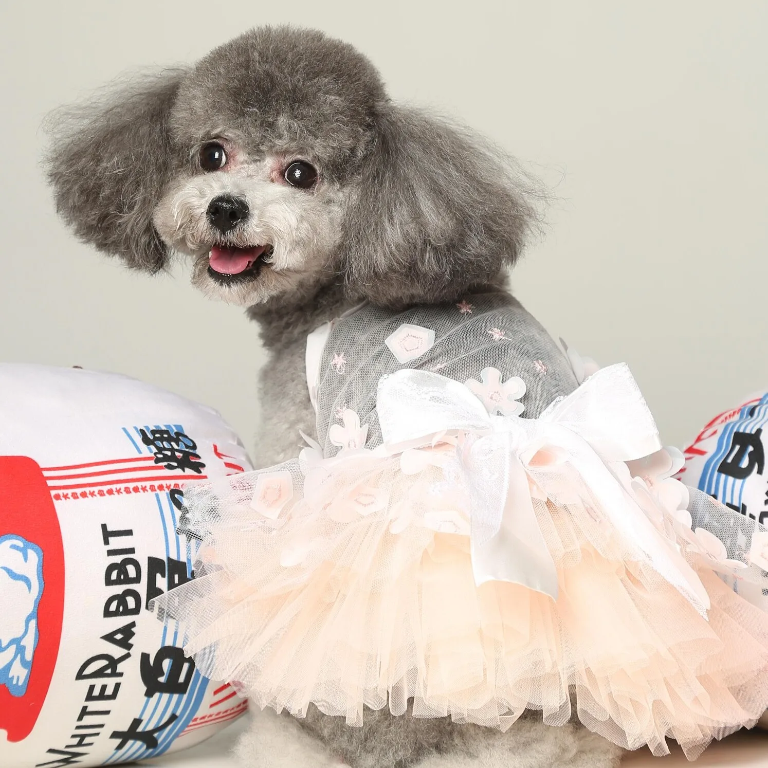 

Summer Thin Tank Top for Little Dog Orange Pink Princess Style Skirt Yorkshire Teddy Pet Clothes Dog Skirt Summer Fashion