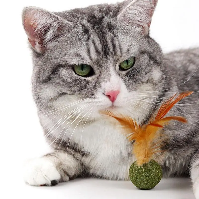 Kitten Catnip Feather Ball Toys Cat Mint Ball Edible Natural Safety Healthy Home Chasing Game Teeth Cleaning Daily supplies