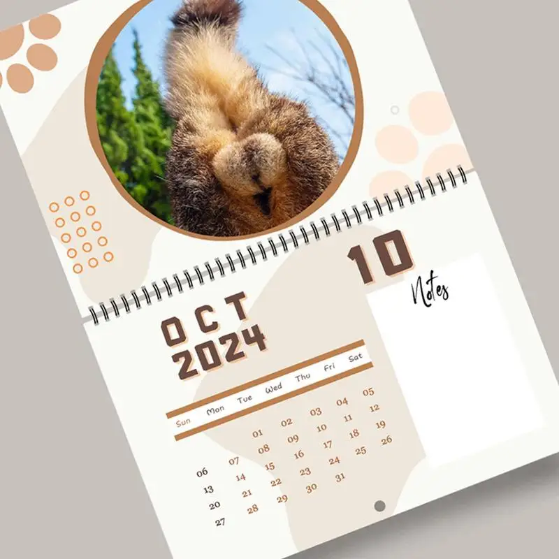 Cat But Hole Calendar Family Planner Calendar 2024 Funny Cats And Cute Cat Photos Monthly Wall Calendar For Animal Lovers