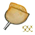 D double ring Orange