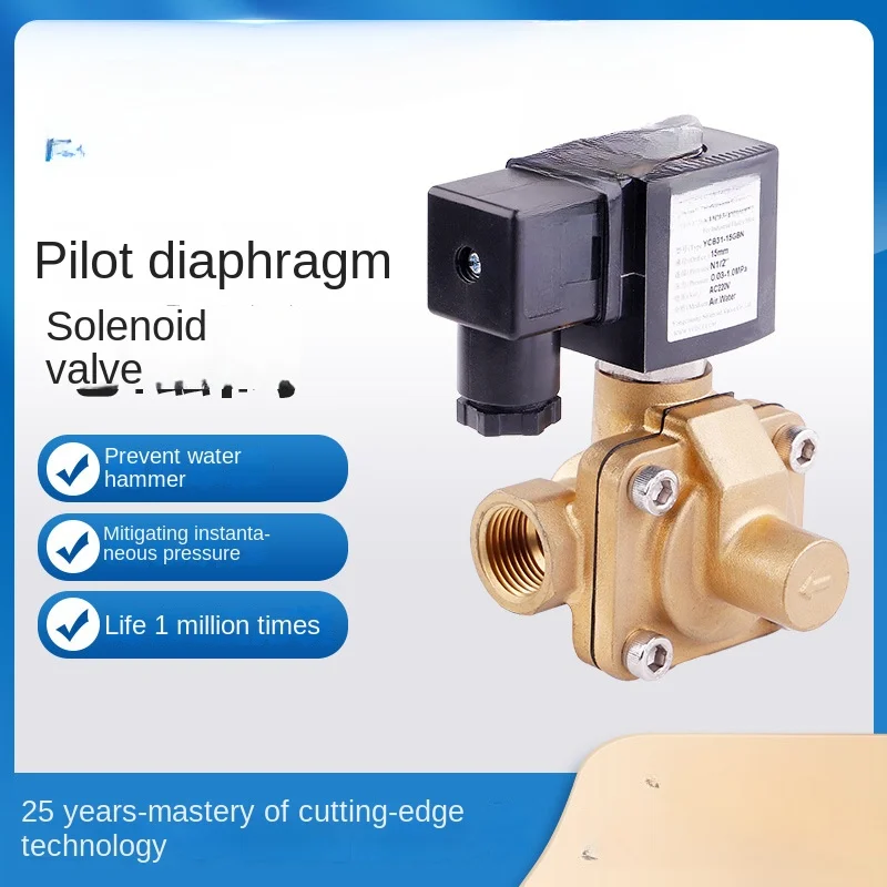 

Pilot diaphragm solenoid valve, new water valve AC220VDC24V