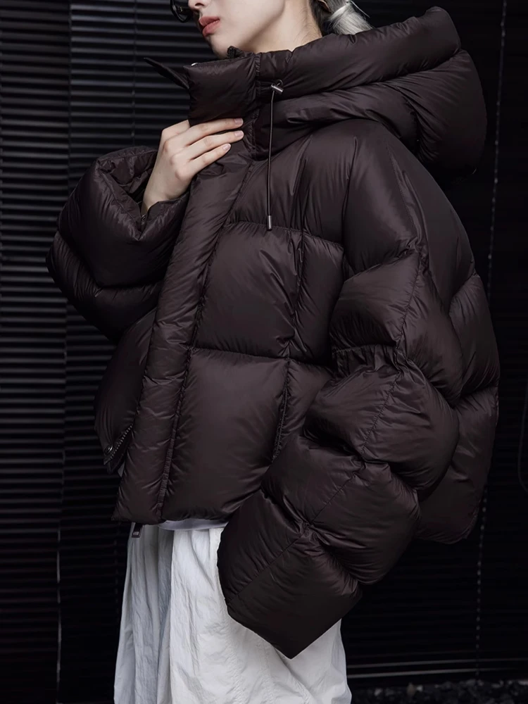 

Autumn Winter Solid Elegant Short Jacket Women 2025 New American Vintage Loose Parkas Korea Chic Design Casual Hooded Jacket Y2k