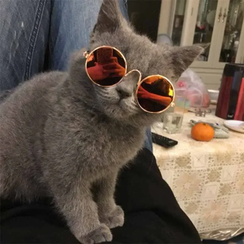 Lentes engraçadas para gatinhos, óculos coloridos para cães e gatos, produtos legais, artigos para animais, sol, adereços fotográficos, acessórios