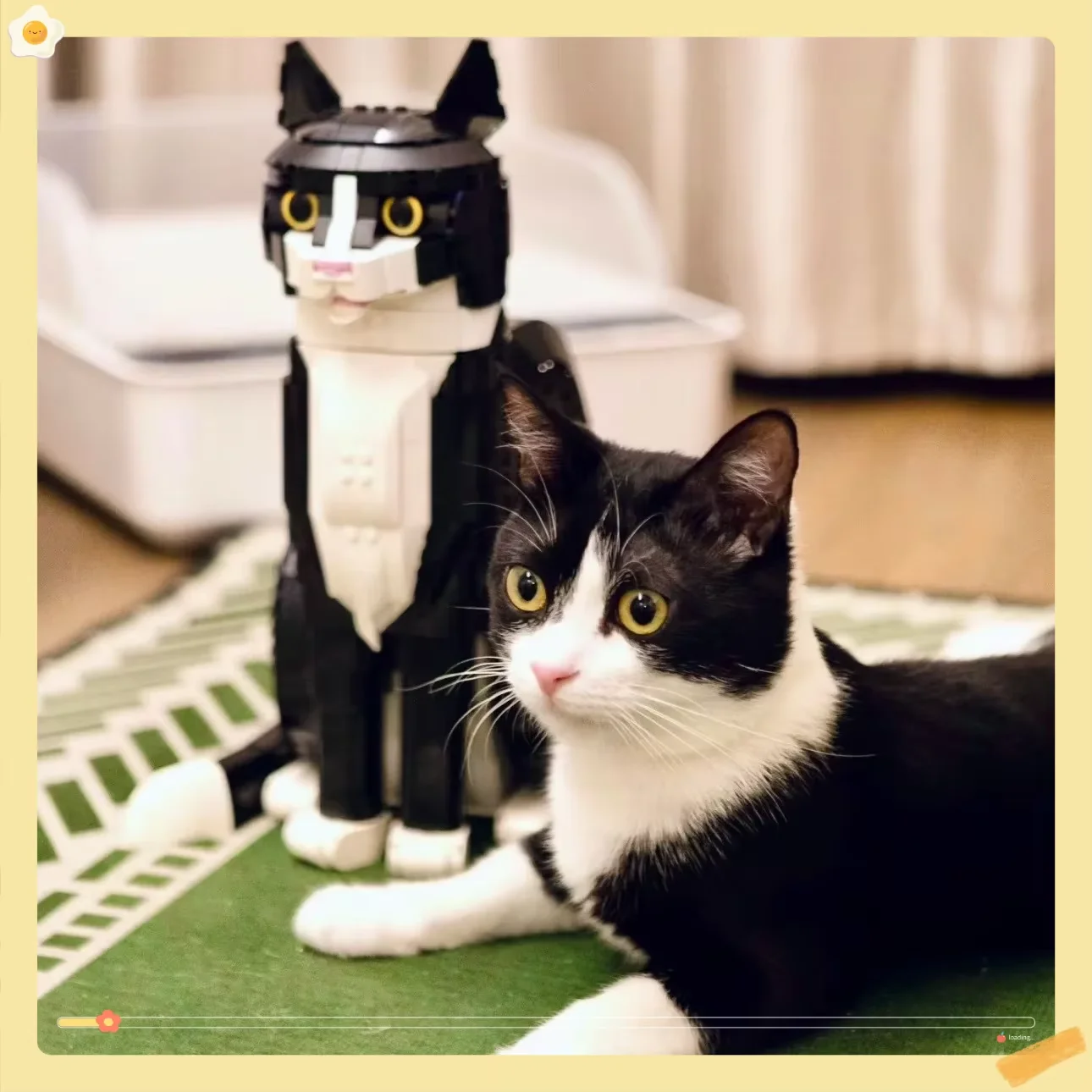 

Qing Wang NewTuxedo Cat Building Blocks Creative Cartoon Animal Assembly Toy Diy Educational Puzzle Toys Gift