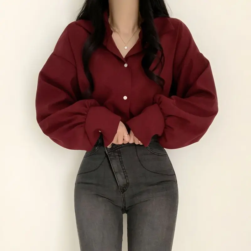 Puff Sleeve Temperament V-neck Professional White Shirt Women's Design Sense Large Size Inner Base Shirt Top