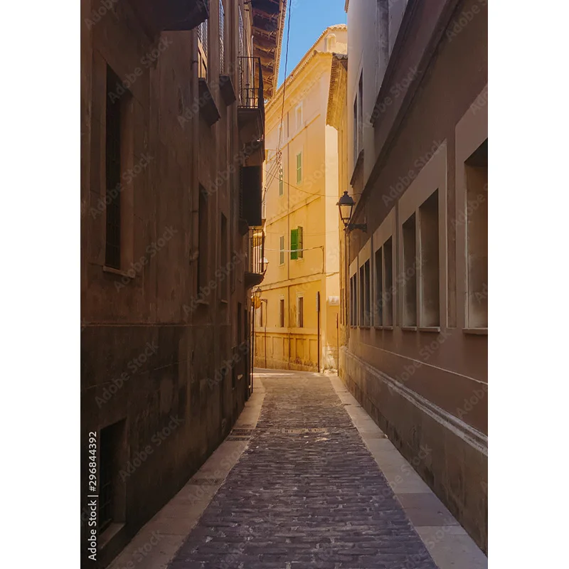 خلفيات تصوير مشهد أوربي عتيق من نيتري ، مستلزمات تصوير فوتوغرافي ، خلفيات صور زفاف ، خلفية استوديو ، * *