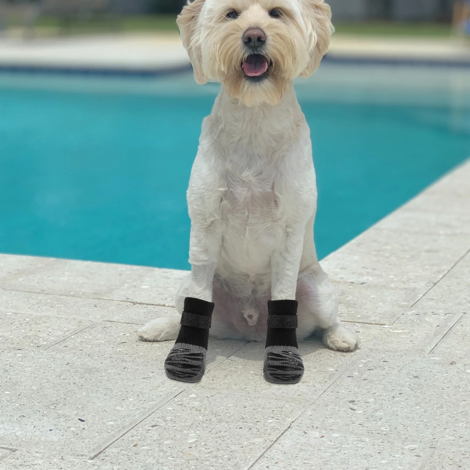 

4 Pcs Pet Non-slip Shoes Small Dog Socks Portable Washable for Dogs Outdoor Cats